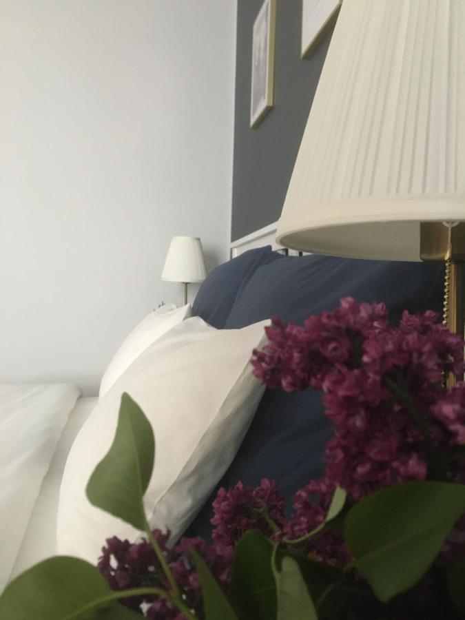 Dominique Apartment كراكوفيا المظهر الخارجي الصورة